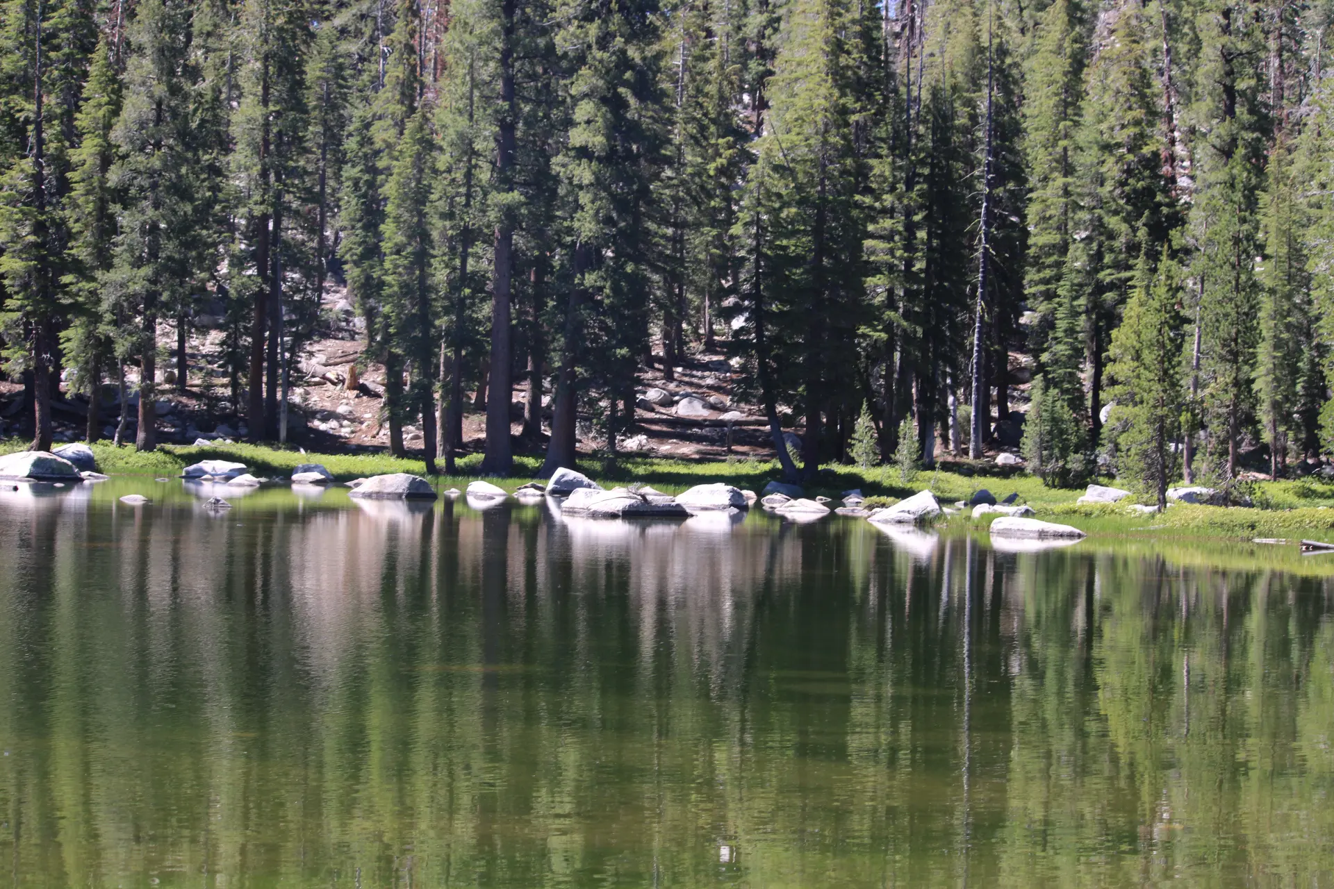 Photo d'un lac devant une foret