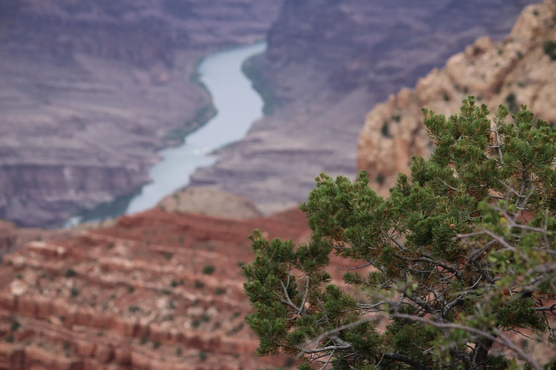 Photo d'un canyon et d'une riviere