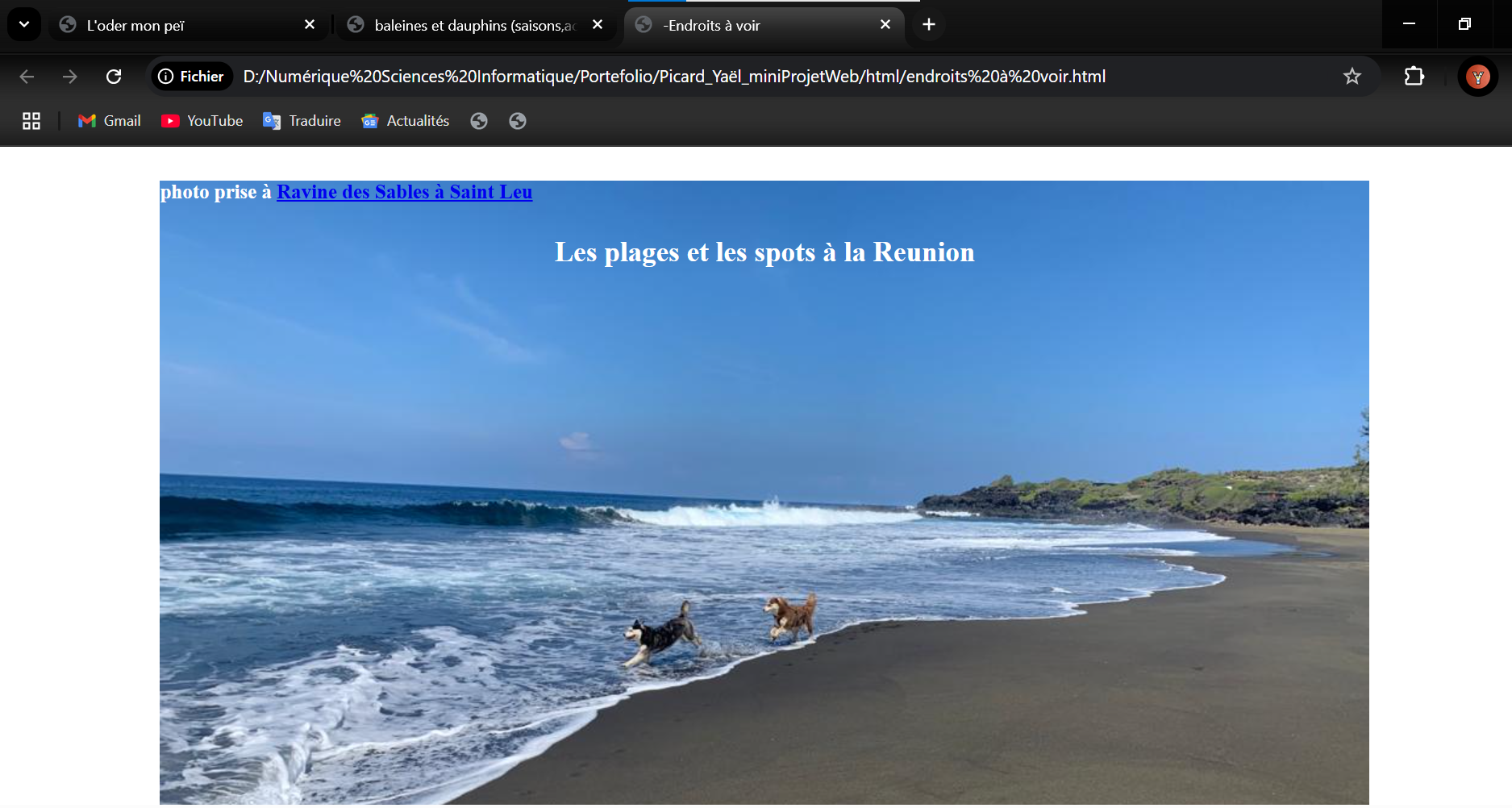 Page acceuil d'un site sur le thème de l'ile de la Réunion